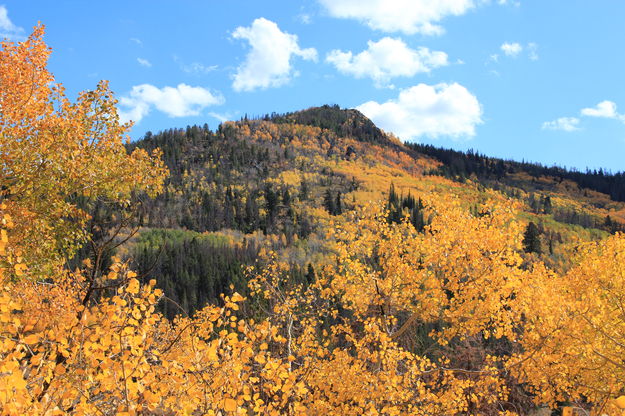 Aspens Framing Fortification Mountain. Photo by Fred Pflughoft.