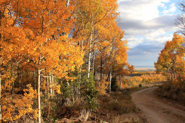 Country Road. Photo by Fred Pflughoft.