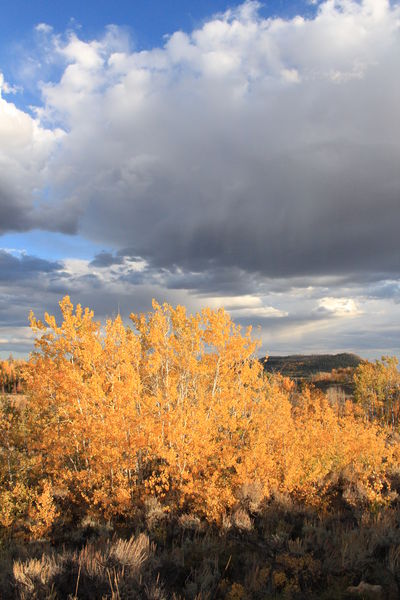 Storm Cloud Over Half Moon Mtn.. Photo by Fred Pflughoft.