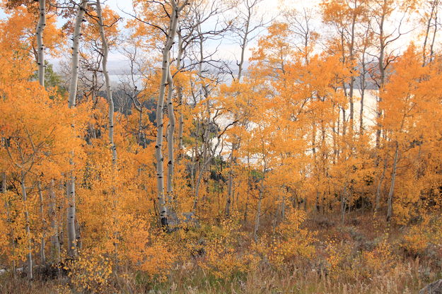 Autumn Light above Fremont Lake. Photo by Fred Pflughoft.