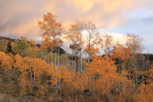 Stormy Cloud Colors. Photo by Fred Pflughoft.