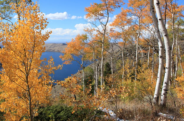 Fremont Lake Framed by Fall Foliage. Photo by Fred Pflughoft.