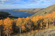 Lakeview . Photo by Fred Pflughoft.