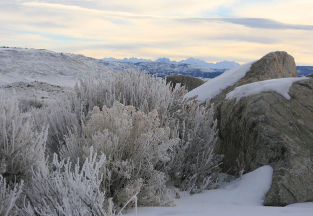 Frosty sunrise over Mt. Bonneville. Photo by Fred Pflughoft.