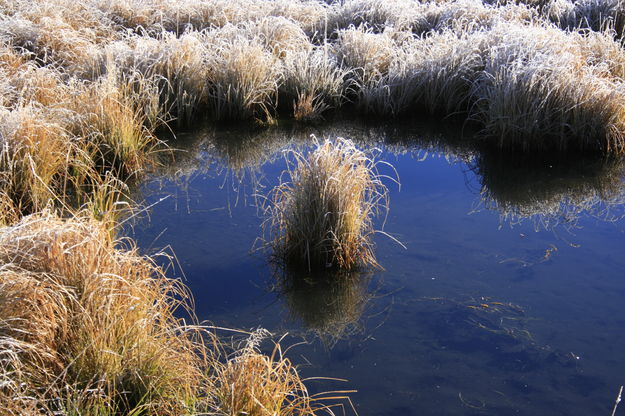 Frosty Reflections / Forty Rod Creek. Photo by Fred Pflughoft.