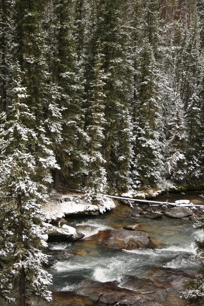 Fall Snow on the Upper Green River. Photo by Fred Pflughoft.