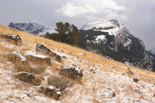 Winter Approaching. Photo by Fred Pflughoft.