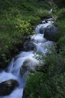 Spring Run-Off. Photo by Fred Pflughoft.