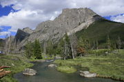 Clear Creek Meadow. Photo by Fred Pflughoft.