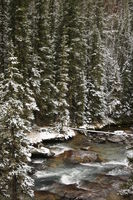 Fall Snow on the Upper Green River. Photo by Fred Pflughoft.