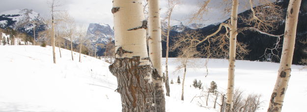 Aspen Panorama. Photo by Fred Pflughoft.