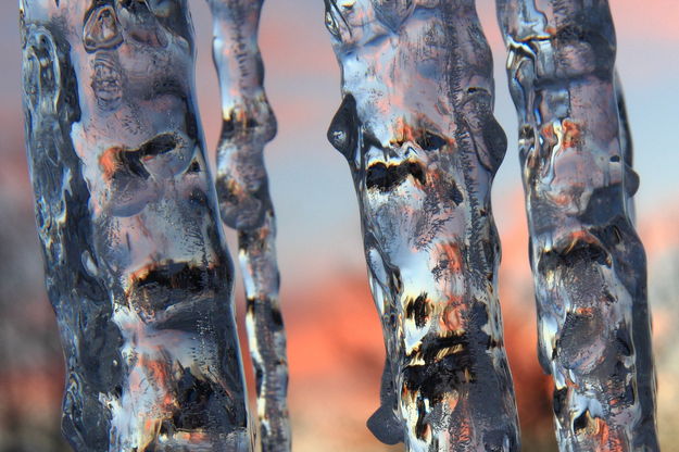 Aspen Icicles. Photo by Fred Pflughoft.