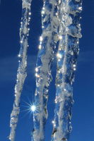 Sunburst Icicles. Photo by Fred Pflughoft.