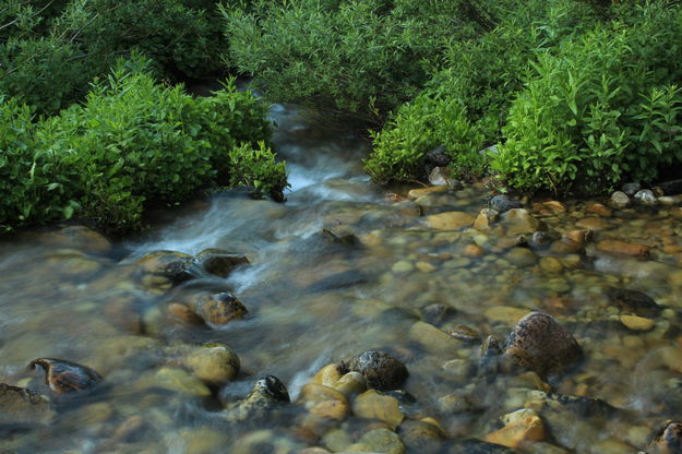 North Fork of Dry Beaver . Photo by Fred Pflughoft.