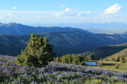 Toward the Gros Ventre. Photo by Fred Pflughoft.