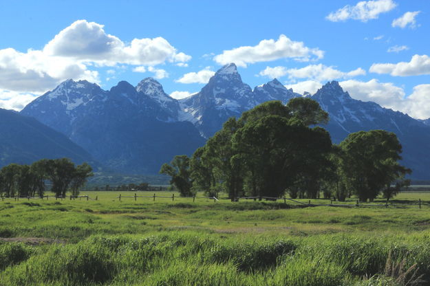 Tetons from Mormon Row. Photo by Fred Pflughoft.