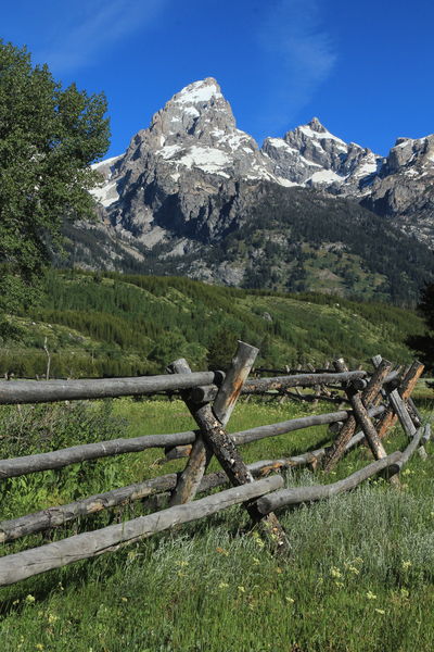 Buckrail Teton View. Photo by Fred Pflughoft.