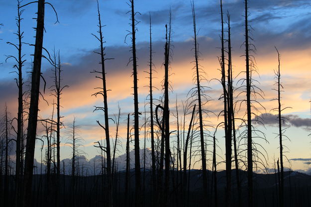 Mount Washburn sunset. Photo by Fred Pflughoft.