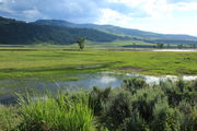 Lamar Valley. Photo by Fred Pflughoft.