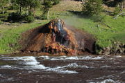 Gibbon River thermal feature. Photo by Fred Pflughoft.