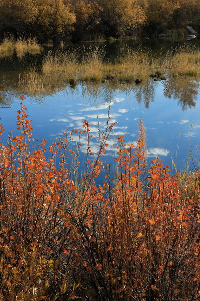 Fall at the Duck Pond. Photo by Fred Pflughoft.