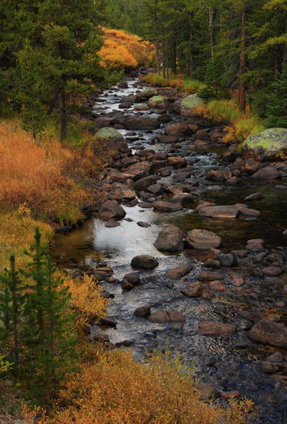 Fall colors along the Big Sandy River. Photo by Fred Pflughoft.