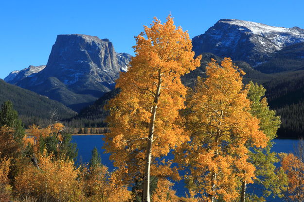 Fall colors frame Squaretop Mtn.. Photo by Fred Pflughoft.