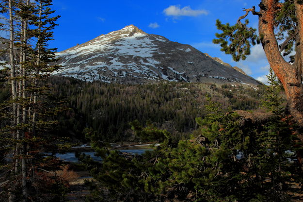 Big Sandy Mtn. from Big Sandy Lk.. Photo by Fred Pflughoft.