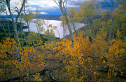 Fall Colors on Skyline Drive. Photo by Fred Pflughoft.