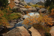 Fall colors near North Lk.. Photo by Fred Pflughoft.
