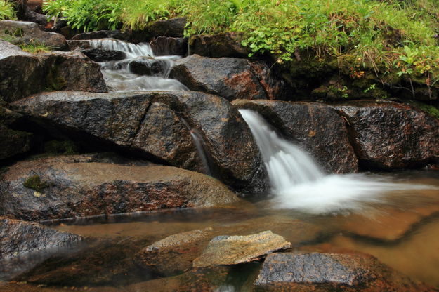 Serene Waters. Photo by Fred Pflughoft.