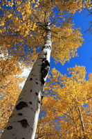 A Long Way Up. Photo by Fred Pflughoft.