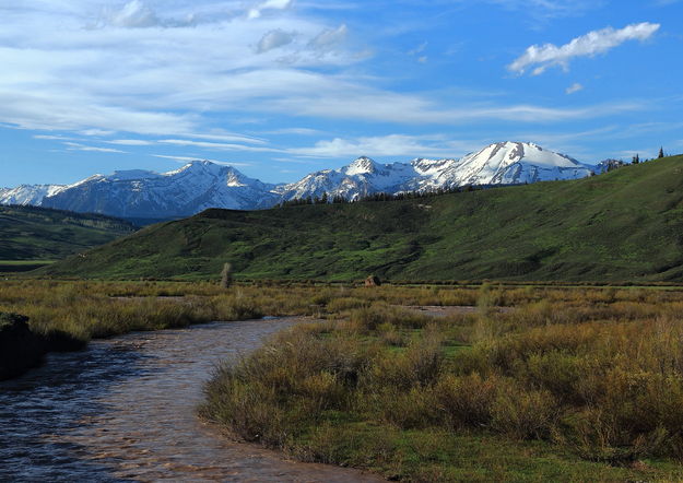 Hoback. Photo by Fred Pflughoft.