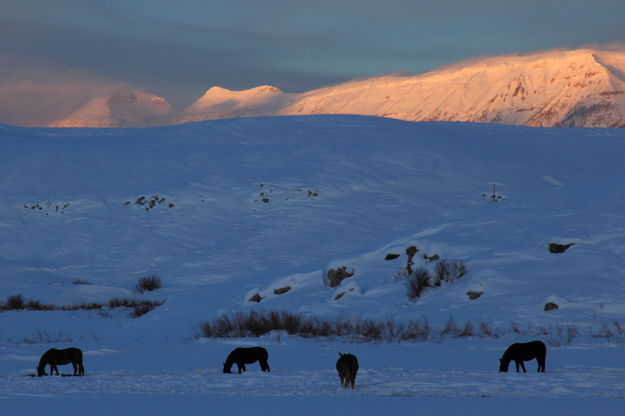 Bondurant Winter. Photo by Fred Pflughoft.