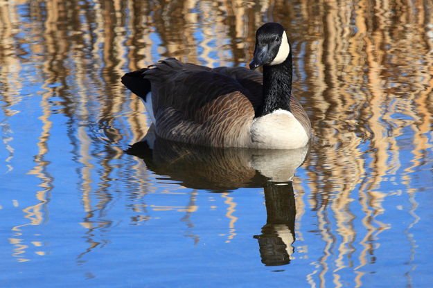 Like This Angle?. Photo by Fred Pflughoft.