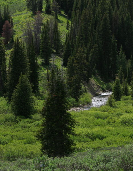 North Horse Creek. Photo by Fred Pflughoft.