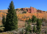 Fall colors beneath Red Cliffs. Photo by Fred Pflughoft.