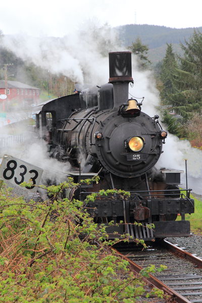 Steam Engine - Wheeler, Oregon. Photo by Fred Pflughoft.