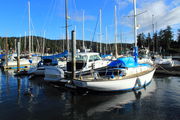 West Sound Marina. Photo by Fred Pflughoft.