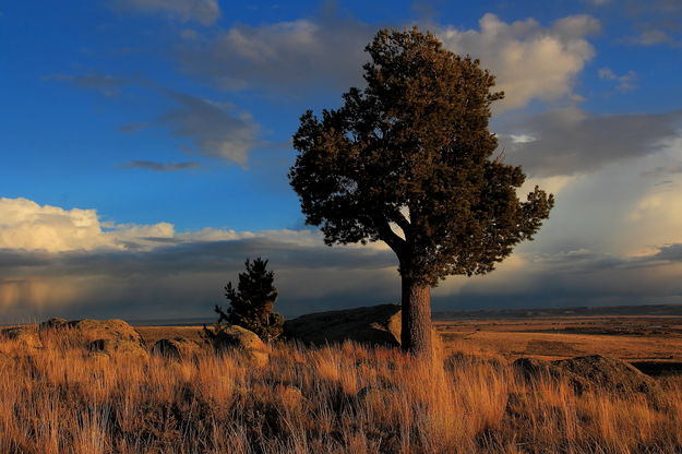 Storm on the Steppe. Photo by Fred Pflughoft.