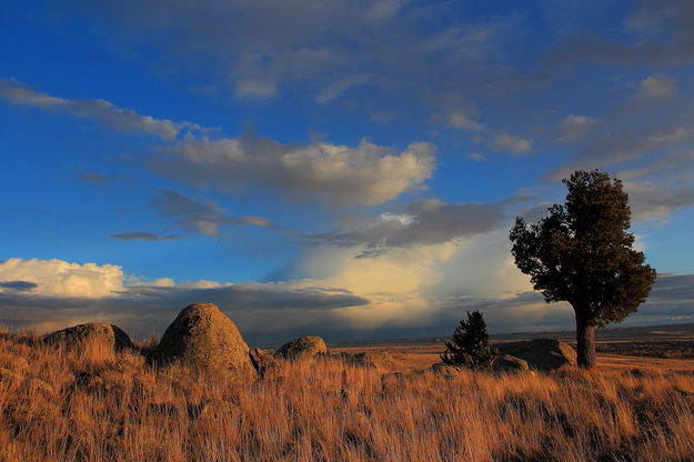 Lovely Light. Photo by Fred Pflughoft.