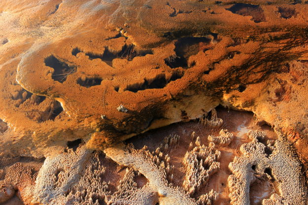 Bacterial Matting at Biscuit Basin. Photo by Fred Pflughoft.