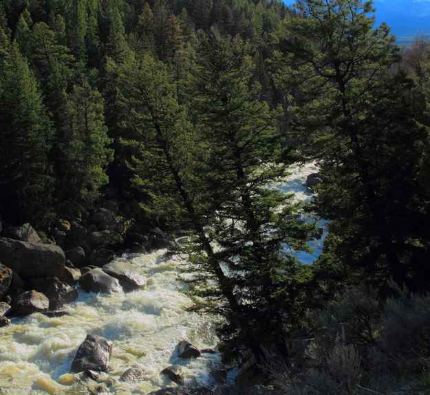 Lamar River Cascading Down the Lamar Canyon. Photo by Fred Pflughoft.