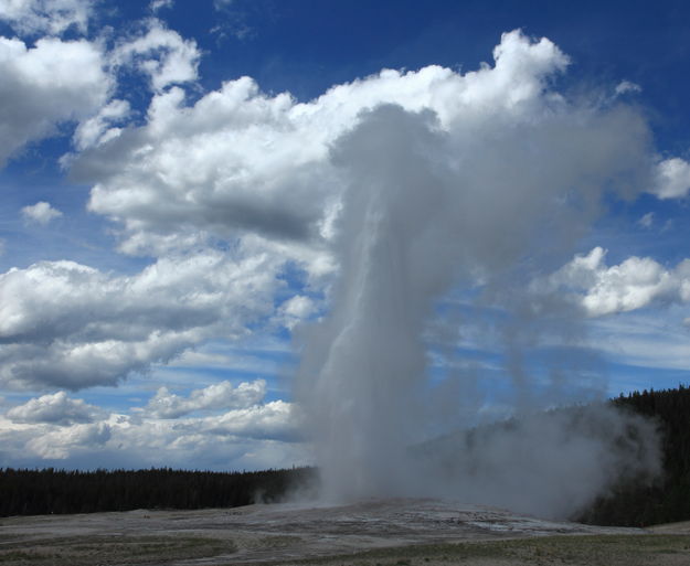 Old Faithful. Photo by Fred Pflughoft.