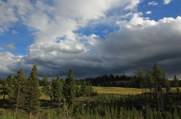 Near Blacktail Plateau. Photo by Fred Pflughoft.