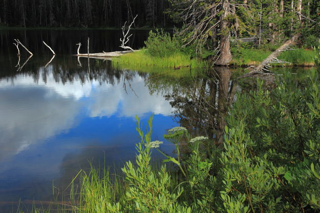 Sylvan Lake. Photo by Fred Pflughoft.