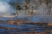 Frosty Morn at Biscuit Basin. Photo by Fred Pflughoft.