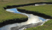 The S Curves of Trout Creek in the Hayden Valley. Photo by Fred Pflughoft.