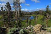 Near Lake Butte. Photo by Fred Pflughoft.