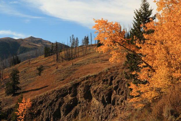 Fall Foliage on Mt. Washburn. Photo by Fred Pflughoft.